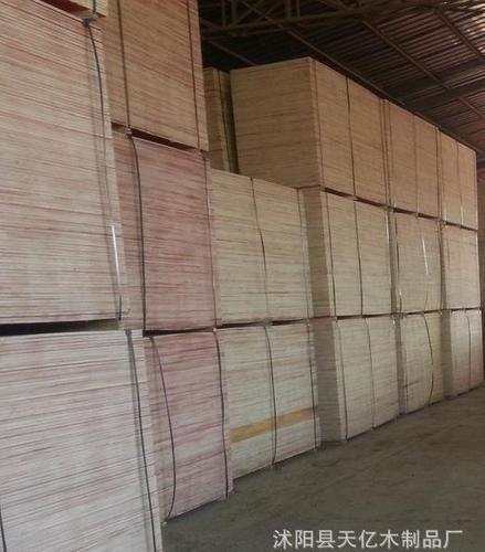 耐磨实用建筑模板 建筑模板大量销售 优惠销售模版-沭阳县天亿木制品