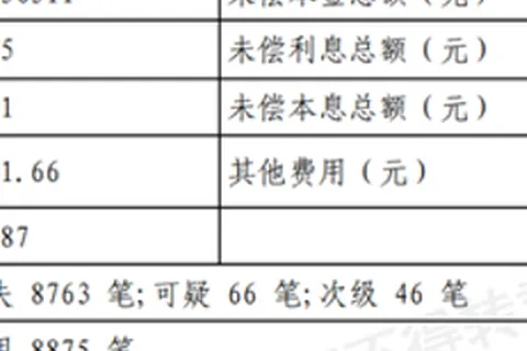 瀚信优配信息核验笔记：河北银行转让笔个贷不良，梅爱斌要做实